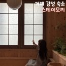 거제꽃날펜션.리조트 | 거제 펜션 스테이모리 아기랑 거제여행 완벽했던 감성 숙소 302호 후기