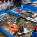 사천 상28호(비12호) | [속초] 속초 회센터 어디가 좋을까? 동명활어센터 vs 청호활어회센터 비교 후기