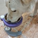 (주)인섹트바이오텍 이미지