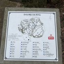 한라 | 제주도 가성비 동백꽃 구경 한라수목원 만족 후기