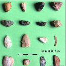 산동 영양서 구석기시대 세석기 유물 발견 山东宁阳发现细石器遗存 이미지