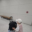 드타미프로젝트 무지개떡set 사이즈 팁 및 착용 후기