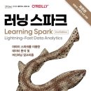 스파크러닝