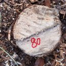 은평-080 이미지