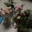 이경호 | W7- 웨딩의 꽃 💐 웨딩 촬영 이경호 포토그라피 솔직 후기 : 하프앤하프 안효은 작가님 ft. 애브뉴준오...