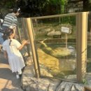 뿌빠노래타운 이미지