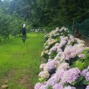 흥농농장 이미지