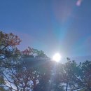 와콘까페 이미지