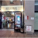 보사우러스(Bosaurus)