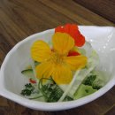 남연허브 이미지