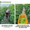 임해농장 이미지