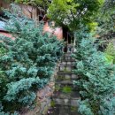 내마음의외갓집 이미지