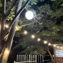 내림 펜션 이미지