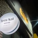 테미네일 네이버블로그