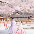 경뷰티끄 | 경원재 웨딩 한복스냅 결혼식 식전촬영 | 야외웨딩스냅 인천전통혼례 한복스냅 | 인천본식스냅 | 송도...