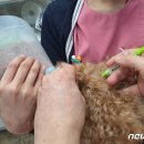 유현동물병원 이미지