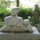 아라크노피아생태수목원 Daum카페