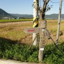 오미주유소 이미지