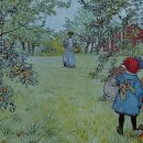 돈필농장 이미지