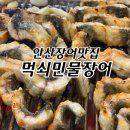 먹쇠민물장어