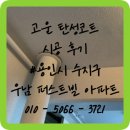 우남약품 | 수지 탄성코트 신봉동 우남 퍼스트빌 페인트 결로 곰팡이 제거