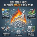 대한비철금속A 태양광발전소 | 은값 60달러 돌파! 관련 주식 종목, 더 오를까? AI 발전과 관련? 삼성전자, SK하이닉스, 테슬라도?