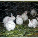 이작초등학교 이미지