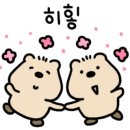 온초점 이미지