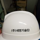 (주)세명기술단