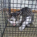 진북동물병원 이미지