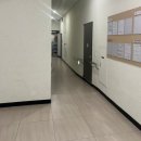 괴산레지던스&호텔힐 | 제주 공항근처 가성비 레지던스 애견동반 숙소 추천 : 힐스테이트 제주호텔