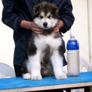 백야농장 이미지