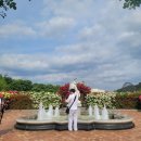 씨유제주한동교차로점 | 5월