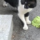 김필남 칼국수 전문점 이미지