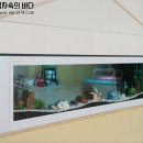 물속풍경수족관 - 당진시 서부로 39-5 | 물속풍경수족관