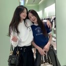 댕글 이미지