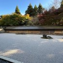 보영가든 이미지