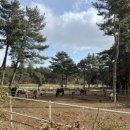 소은목장 이미지