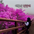 대금산진달래길(등산) | 거제 대금산 진달래 축제 등산 코스 주차장 거제도 가볼만한곳