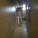 로얄스포렉스 이미지