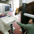 원 종합동물병원 이미지