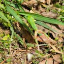 개곡초병설유치원 이미지