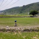 대숲민박 이미지