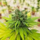 양마농장 이미지