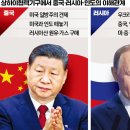 GST 무역 이미지