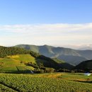 동아홈마트 이미지