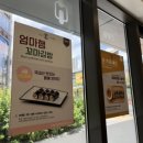 패밀리꼬마김밥일광 이미지