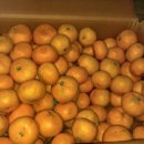 선화농원 이미지