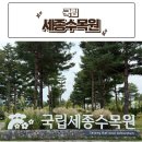 (유)세종종합운수 | [세종] 아이와 함께 가볼만한 곳 / 국립세종수목원 - &#39;스위트가든&#39; , &#39;한 여름밤의 고흐&#39; 후기