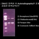 ＜2.4.3.?＞질문 있습니다 ^^* 이미지